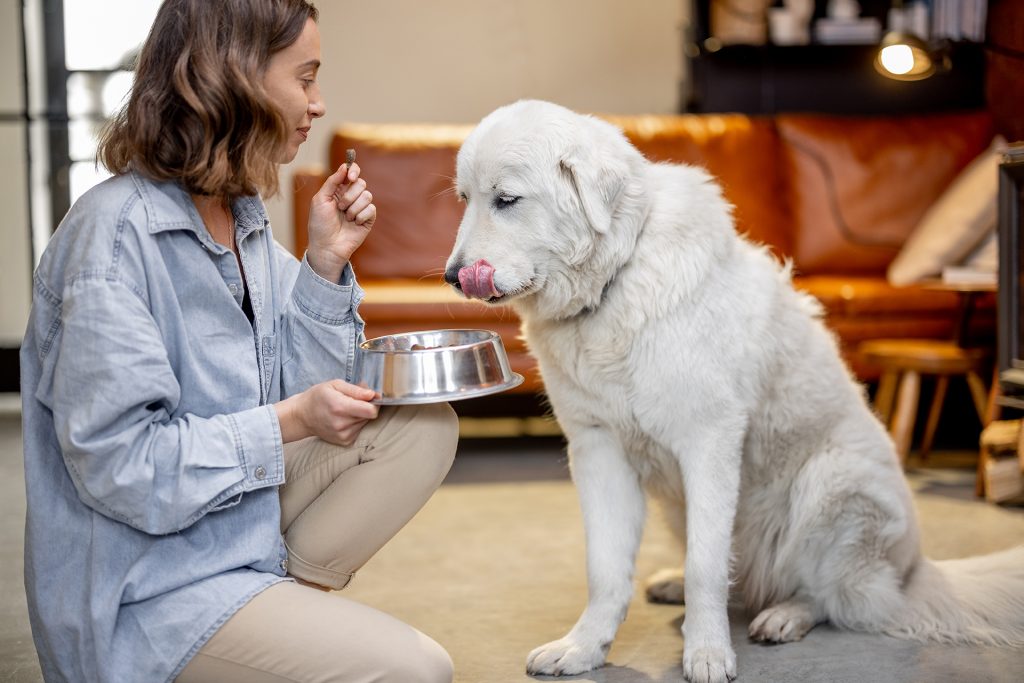 Dogs need different diets at different ages