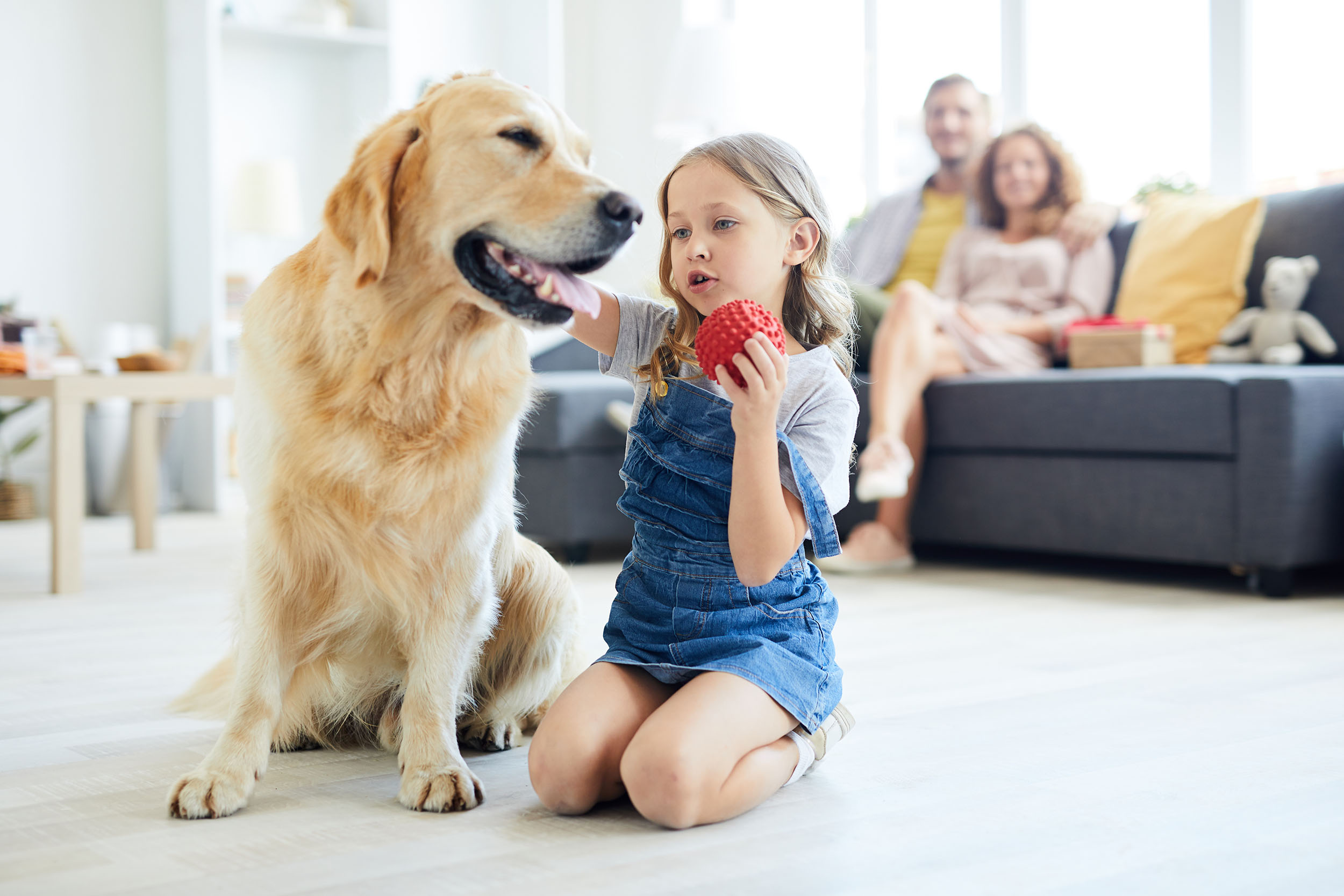 Teaching Your Kids To Care For Their Pet