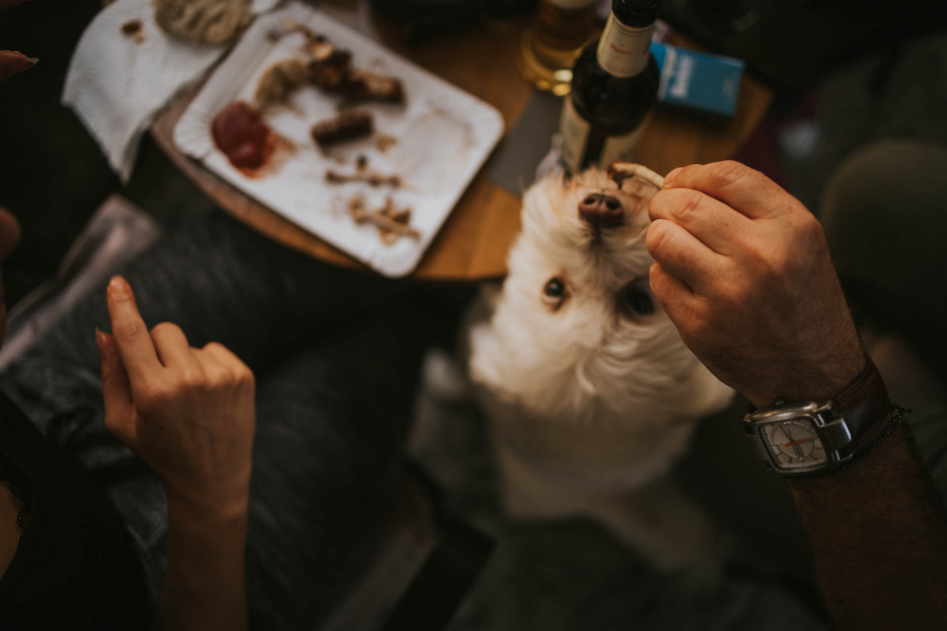 Are Table Scraps Bad For My Dog?